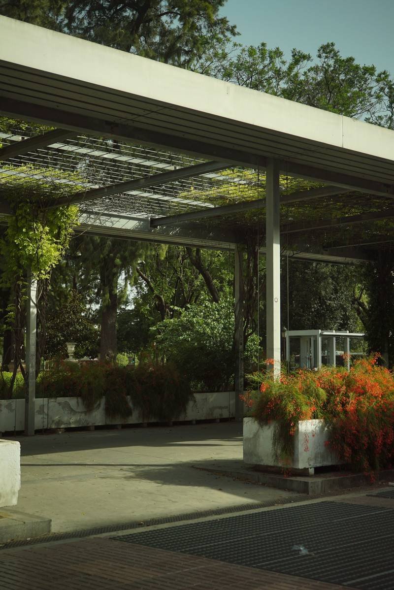 Pergola métallique au-dessus d’un jardin arboré