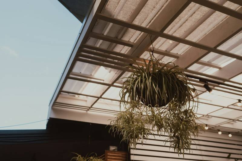 Couverture de terrasse et suspension végétale
